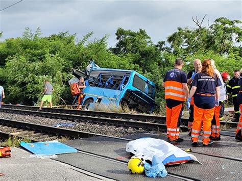 pornhub castellano|Slovakia crash: 6 killed in train and bus collision .